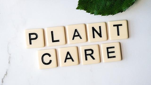 Plant Care: